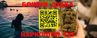индика Пугачёв