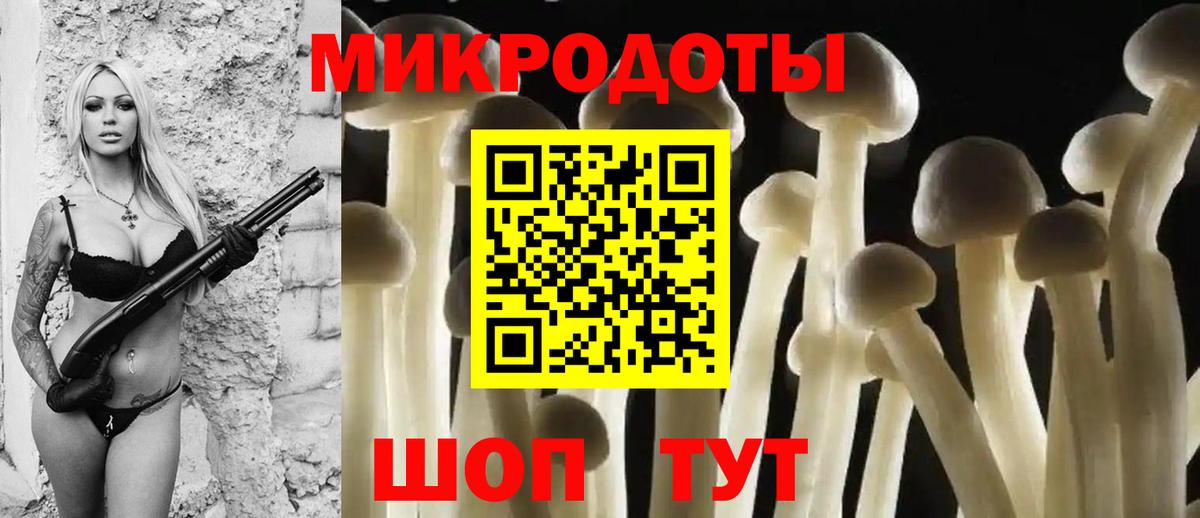 Петропавловск-Камчатский  Галлюциногенные грибы Cubensis  Вход с VPN 